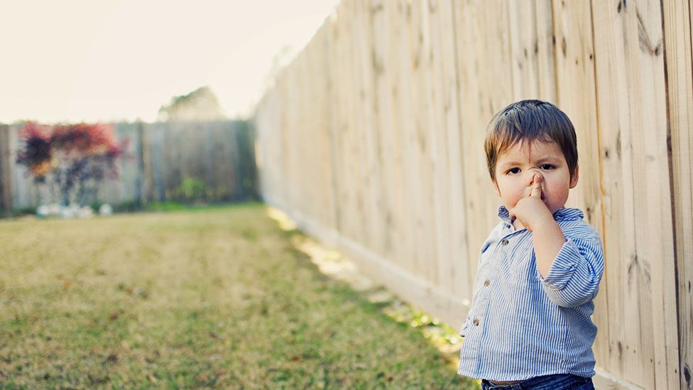 Why do we pick our nose? BBC Future