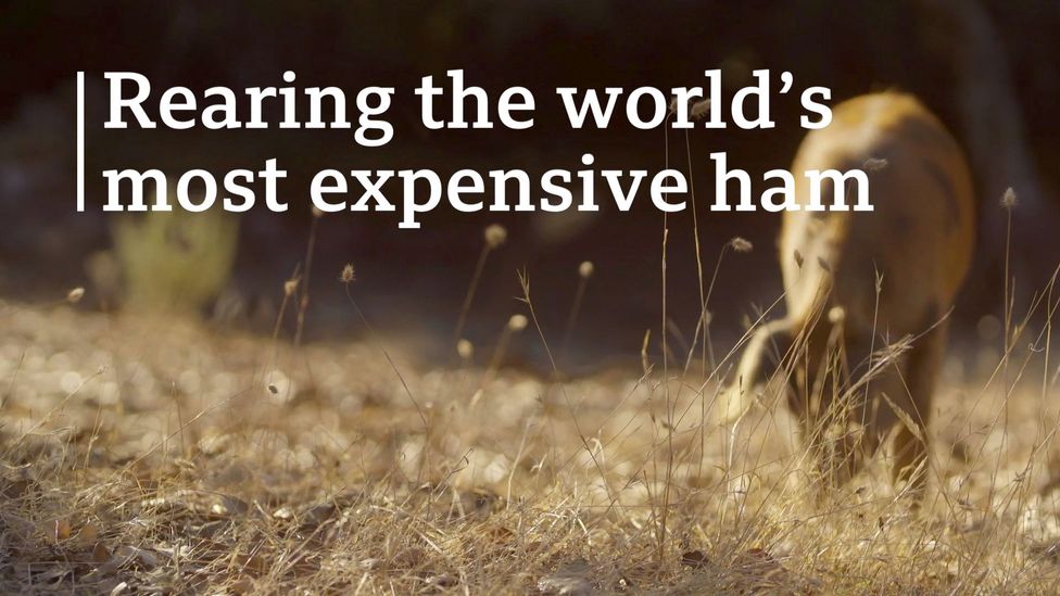 The world’s most expensive ham BBC Travel